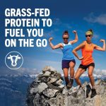 Orgain Organic Nutritional Protein Shake, Vanilla Bean - 16g Grass Fed Whey Protein, Meal Replacement, 20 Vitamins & Minerals, Gluten Free, Soy Free, 11 Fl Oz (Pack of 12) (Packaging May Vary) - Image 7